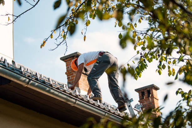 Residential Roof Replacement in Grandwood Park, IL